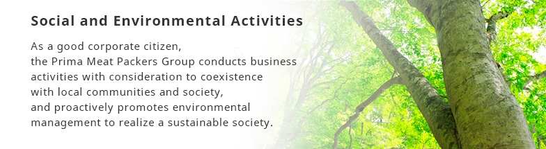 Social and Environmental Activities