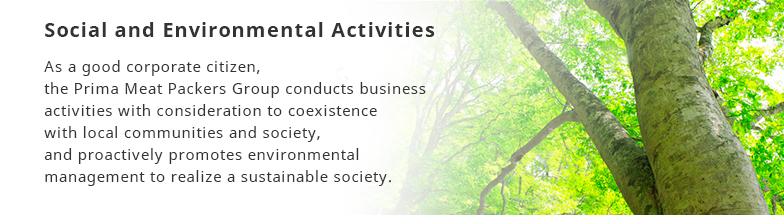 Social and Environmental Activities