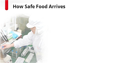 How Safe Food Arrives
