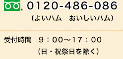 電話番号：0120-486-086