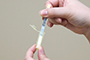 Mix the filtrate with lyophilized reagent and soak the test strips