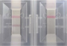 Determine result after 10 minutesLeft: Positive Right: Negative