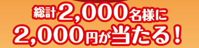 ���v2,000���l��2,000�~��������I