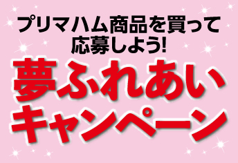 夢ふれあいキャンペーン