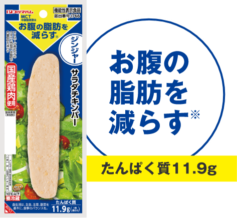 お腹の脂肪を減らす たんぱく質11.9g