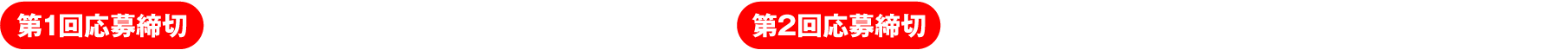 第1回応募締切 2025年2月28日(金）第2回応募締切 2025年4月3日(木）※当日消印有効
