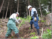 地元の植林組合の方々の指導を受けて、作業を進めます。