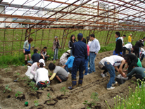 【活動風景】松山さんの説明を熱心に聞きながら、全員が協力して作業を行いました。