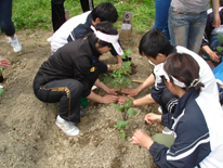 【活動風景】松山さんの説明を熱心に聞きながら、全員が協力して作業を行いました。