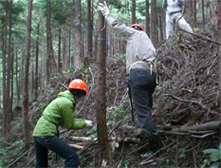 『森づくり活動2011年』秩父の山での植林活動