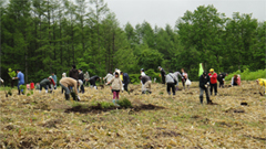 植樹祭『2012しみずグリーンフェスティバル』へ参加