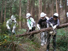 森づくり活動2012年』秩父の山での間伐活動