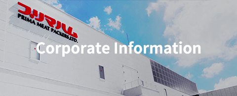 Corporate Information