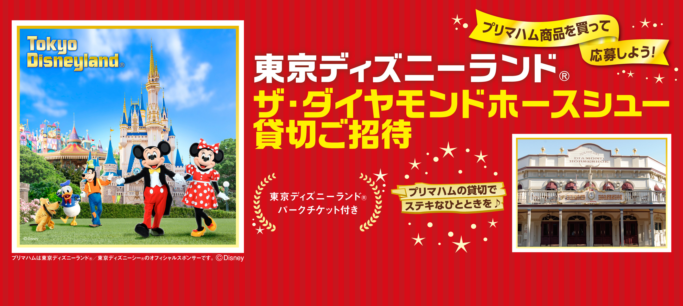 東京ディズニーランド® ザ・ダイヤモンドホースシュー 特別プランご招待