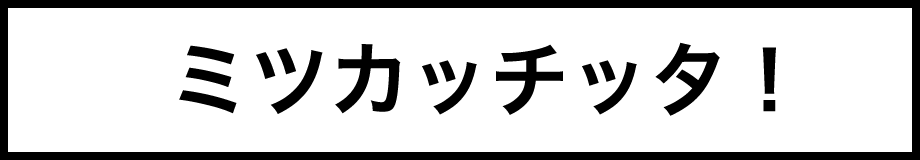 ミツカッチッタ！