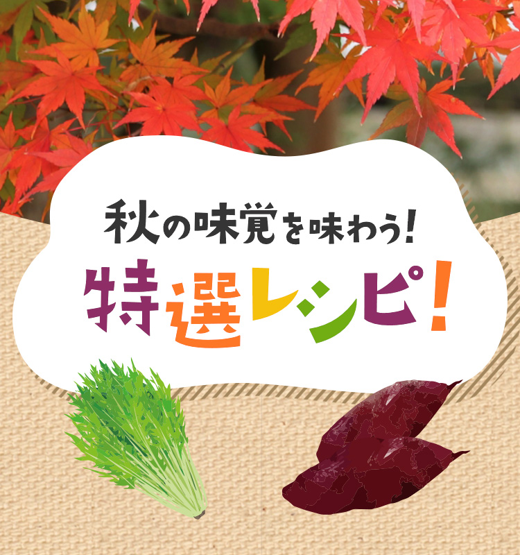 秋の味覚を味わう！ 特選レシピ！