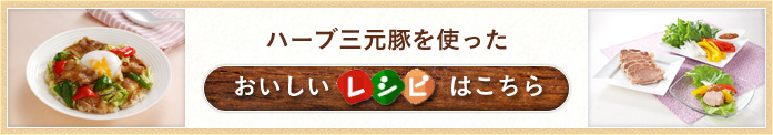 ハーブ三元豚を使ったおししいレシピはこちら