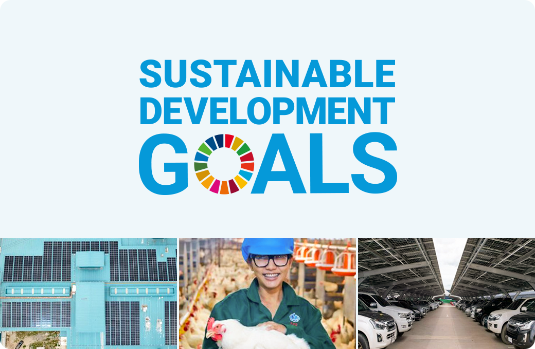 SUSTAINABLE DEVELOPMENT GOALS