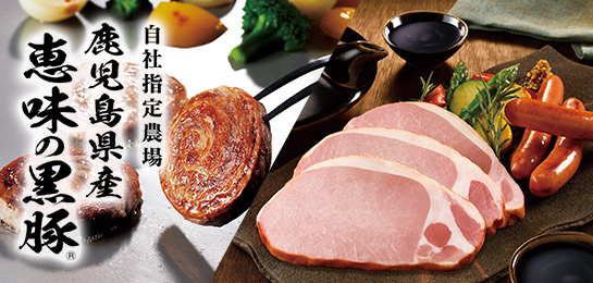 プリマハム | 2025年 プリマハムのお歳暮 冬ギフト