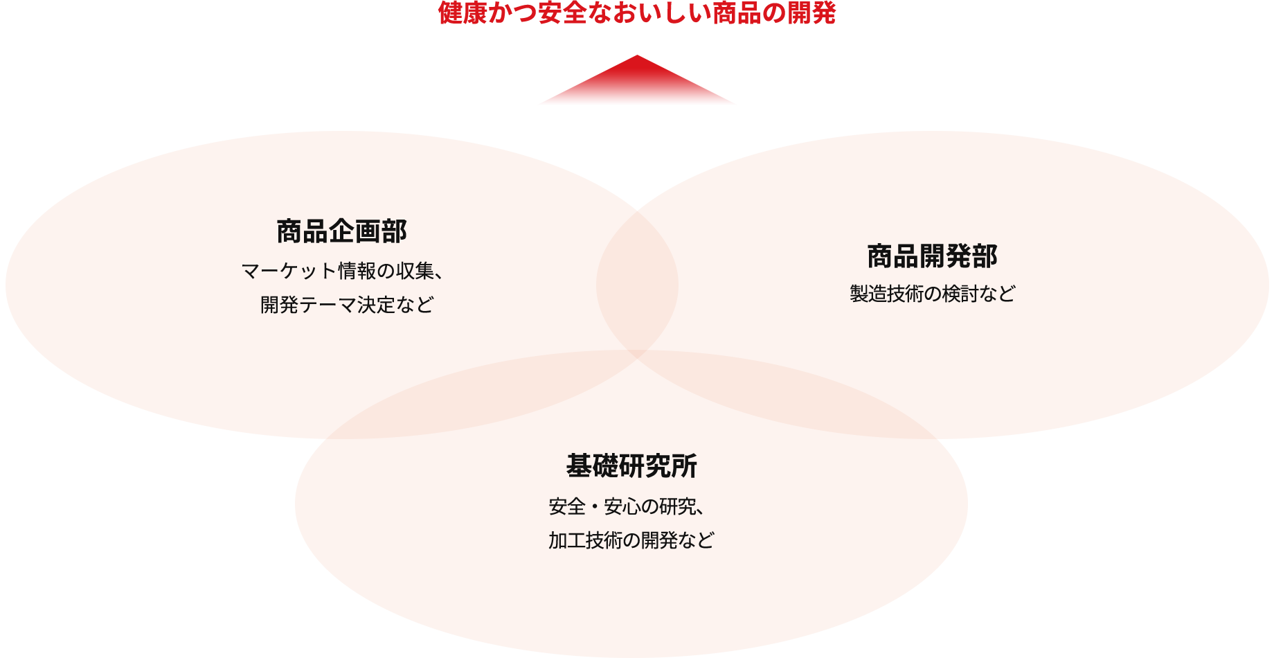健康かつ安全なおいしい商品を開発するために、基礎研究と商品企画部、商品開発部が連携しています